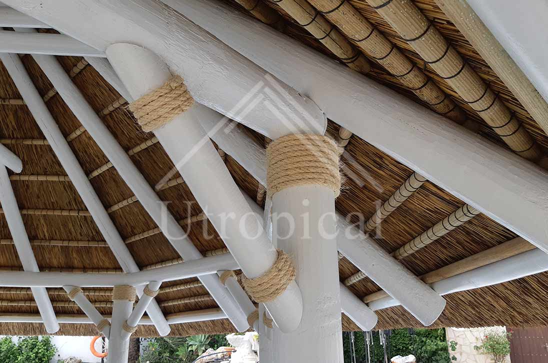 tejado tropicales de junco